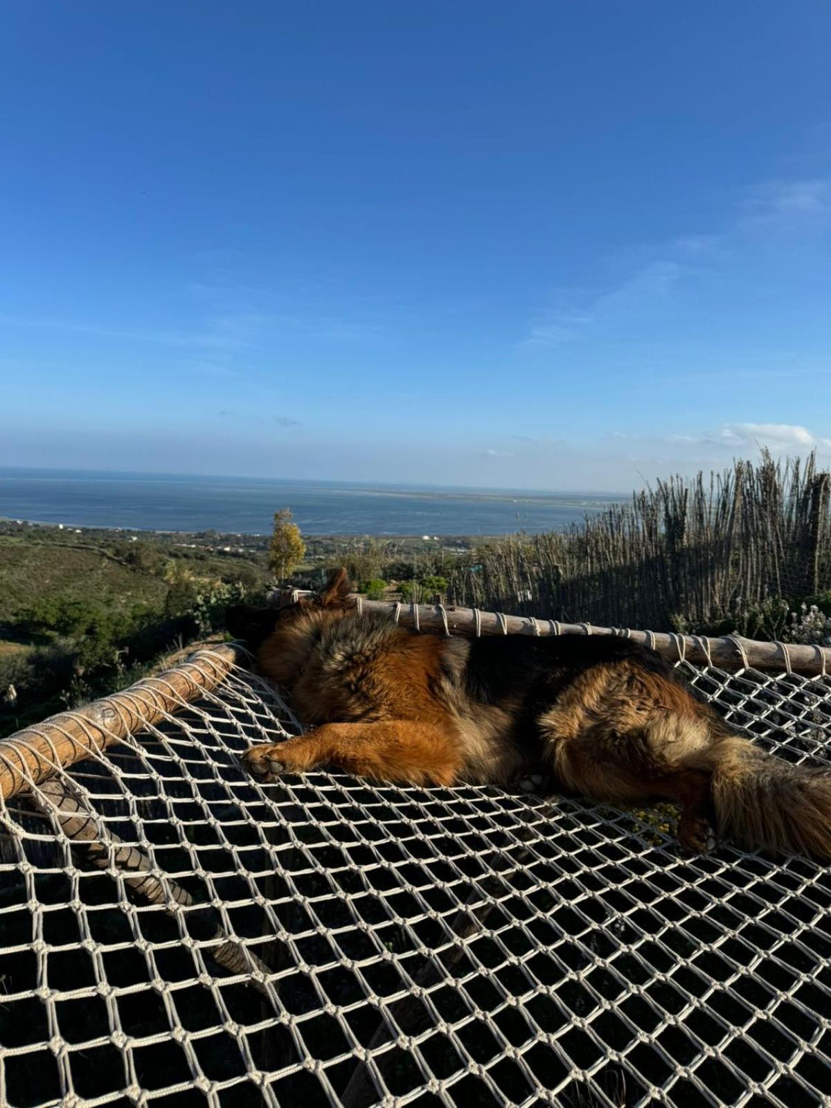 Hotel Ghar El Melh Outdoors Ra's al Jabal Zewnętrze zdjęcie